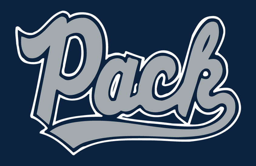 Nevada Wolf Pack 1996-1999 Helmet Logo diy iron on heat transfer